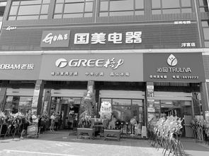 下沉市場家電連鎖換新顏，國美新零售店獲縣域老板點(diǎn)贊
