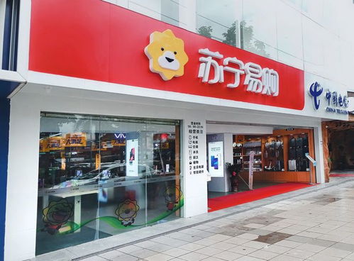 中文域名 蘇寧易購.購物視角下的品牌價值與競爭優(yōu)勢